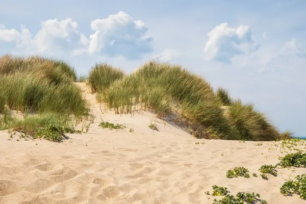 Fransa, Normandiya 'daki Cotentin yarımadasının kumullarından huzurlu bir manzara.