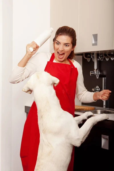 Baking Christmas Cookies While Dog House Trying Eat Cookies — Stock Photo, Image