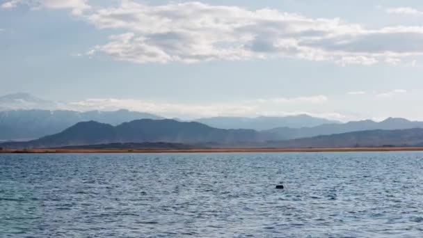 Blue Calm Water Issyk Kul Lake Mountains Background Summer Day — Video Stock