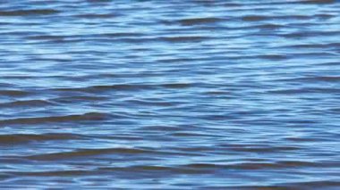 full-frame realtime background of ripples on large lake at sunny day