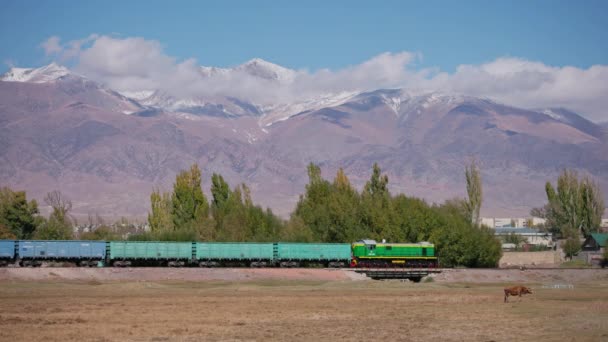 Train Moves Front Tian Shan Mountains Sunny Autumnal Day — Stockvideo