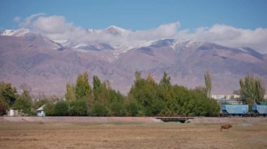 train moves in front of Tian Shan mountains at sunny autumnal day