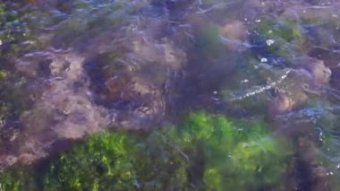 clear water of mountain creek, slow motion high angle closeup full-frame view.