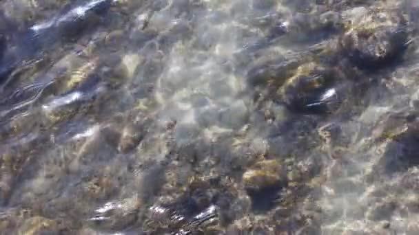 Clear Water Mountain Creek Slow Motion High Angle Closeup Full — Vídeos de Stock