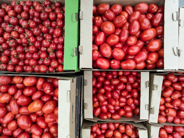 stock image fresh red tomatoes in opened cardboard boxes, high angle view.