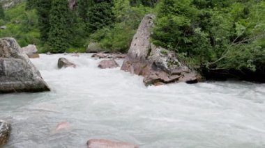 Yaz gününde dağ vadisi nehri ağır çekimde.