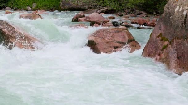 夏天的日子里 高山峡谷河流中的粉色岩石缓缓移动 — 图库视频影像