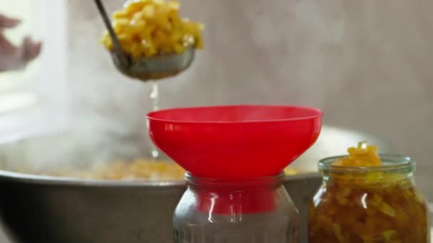 Woman Hands Filling Glass Jars Apple Jam Red Funnel Soup — Stock Video