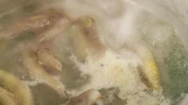 Kokande Kyckling Tassar Full Frame Närbild Bakgrund Med Slow Motion — Stockvideo