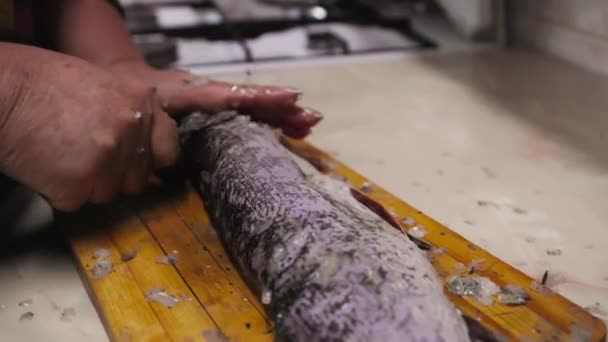 Женщина Снимает Весы Люсовой Рыбы Помощью Маленького Ножа Деревянной Доске — стоковое видео