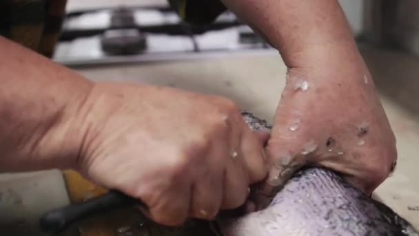 Kadın Mutfaktaki Tahta Tahtada Küçük Bıçakla Luce Balığından Terazi Alıyor — Stok video