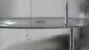 alkol damıtma işlemi yakın çekim - sıvı damıtılmış şeffaf sıvı içinde yüzen alkoholometre ile büyük cam kavanozda akıyor.