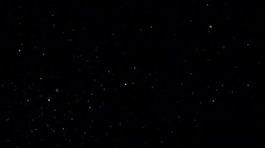 domestic dust particles flying in the air on black backgroundm unadorned real-life footage