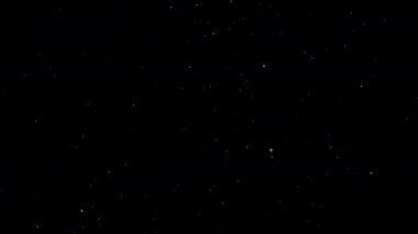 domestic dust particles flying in the air on black backgroundm unadorned real-life footage