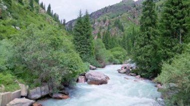Yaz gününde dağ vadisi nehri ağır çekimde.