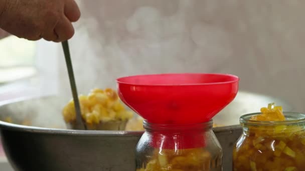 Kadın Elleri Cam Kavanozları Kırmızı Huni Çorba Kepçesiyle Elma Reçeli — Stok video