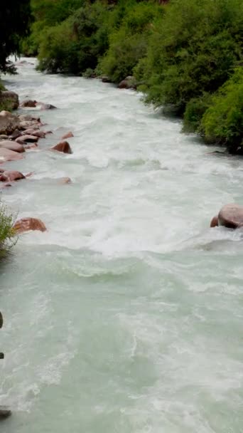 Φαράγγι Του Βουνού Ποτάμι Την Ημέρα Του Καλοκαιριού Αργή Κίνηση — Αρχείο Βίντεο