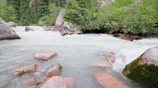 Berg Ravin Flod Sommaren Dag Slow Motion — Stockvideo