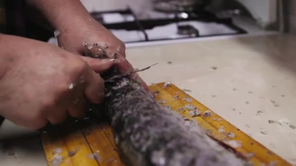 Kobieta Usuwająca Łuskę Luce Fish Małym Nożem Drewnianej Desce Kuchni — Wideo stockowe