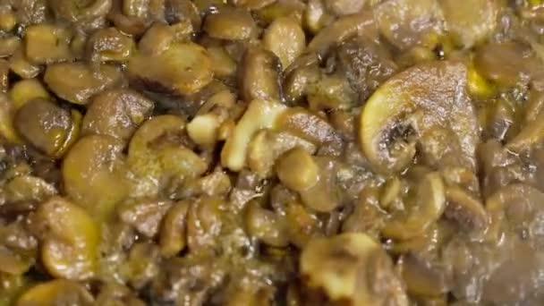 Frozen Champignon Mushrooms Boiling Frying Pan Slow Motion Closeup — Stock Video
