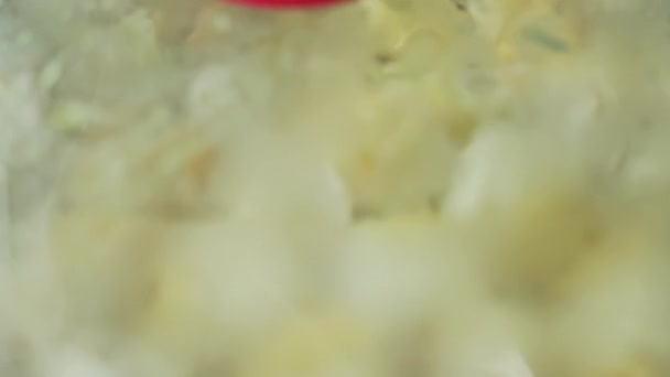 Dumplings Fried Frying Pan Glass Lid Close Selective Focus Slow — Stock Video
