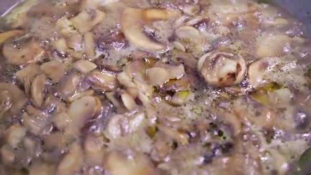 Cogumelos Champignon Congelados Fervendo Uma Panela Ato Fritar Close Movimento — Vídeo de Stock