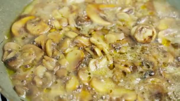 Cogumelos Champignon Congelados Fervendo Uma Panela Ato Fritar Close Movimento — Vídeo de Stock