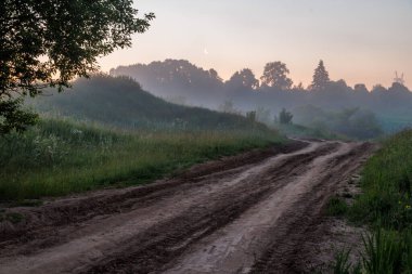 Sisli yaz sabahında kırsal toprak yol.