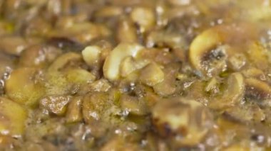 Donmuş şampiyon mantarları kızartma tavasında kaynıyor, yavaş çekim yakın plan..