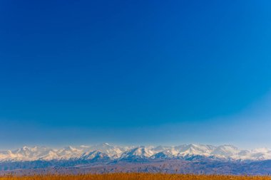 Güneşli bir sonbahar öğleden sonrasında, dağların önündeki uzun, kuru sarı çimen tarlası..
