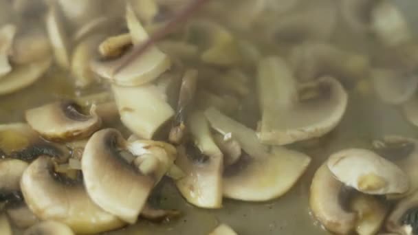 Fresh Champignon Mushrooms Stirring Plastic Spatula Frying Pan Slow Motion — Stock Video