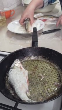 Kıdemli Kafkas kadınlarının elleri hamamböceğini una batırır ve ev mutfağındaki ocakta kızartmak için yağlı bir tavaya koyar..