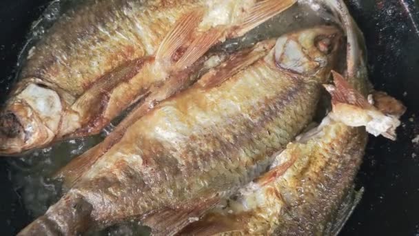 全体のVobla魚は 国内キッチンで油と鋳鉄のフライパンで揚げる — ストック動画