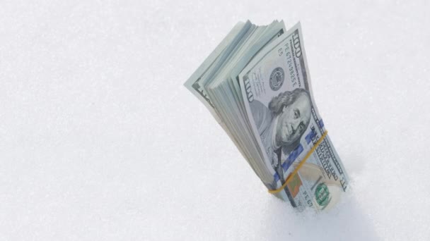 Pile Banconote Cento Dollari Che Spuntano Dalla Neve — Video Stock