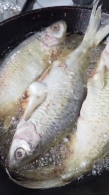 Tüm vobla balığı evcil mutfakta, dökme demir tavada kızarıyor..