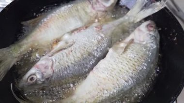 Tüm vobla balığı evcil mutfakta, dökme demir tavada kızarıyor..