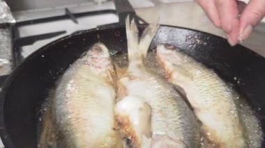 Tüm vobla balığı evcil mutfakta, dökme demir tavada kızarıyor..