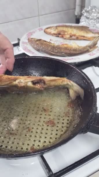 コーカサス人の女性は 国内キッチンで鋳鉄のフライパンで揚げた後 プレート全体の揚げVobla魚を取る手 — ストック動画