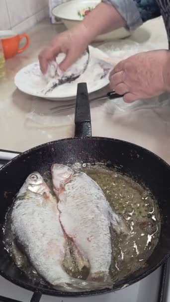 シニアコーカサス女性は小麦粉にローチを浸し 自宅のキッチンでストーブにフライするためのオイルでフライパンに置きます — ストック動画