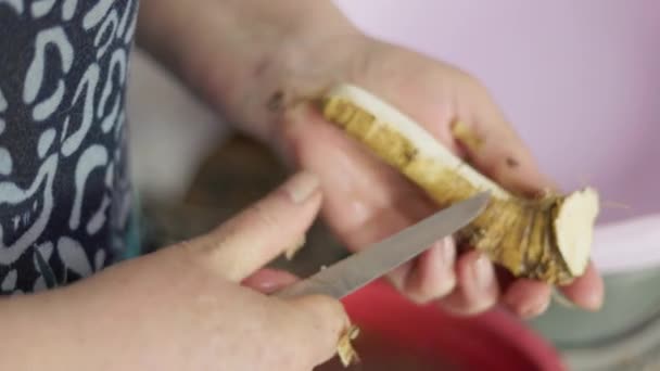 Бабуся Чистить Хрін Кухонним Ножем Крупним Планом Повільним Рухом — стокове відео