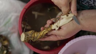 Büyükannem mutfak bıçağıyla yaban turpunu soyuyordu, yavaş çekimde yakın çekim.