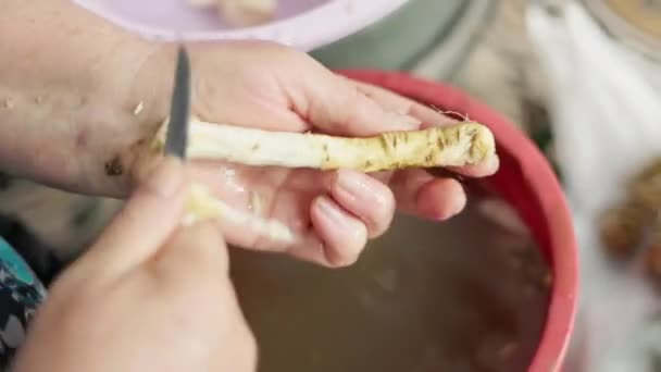 Бабуся Чистить Хрін Кухонним Ножем Крупним Планом Повільним Рухом — стокове відео