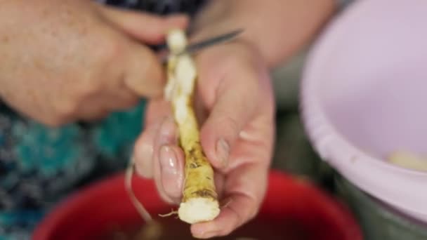 Bunica Peeling Hrean Cuțit Bucătărie Closeup Mișcare Lentă — Videoclip de stoc