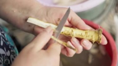 Büyükannem mutfak bıçağıyla yaban turpunu soyuyordu, yavaş çekimde yakın çekim.