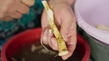 Büyükannem mutfak bıçağıyla yaban turpunu soyuyordu, yavaş çekimde yakın çekim.