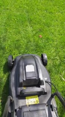 Güneşli bir günde yeşil çimenleri hareket ettiren ucuz plastik çim taşıyıcı, nakliyeci tarafından yakın çekim görüntüsü.