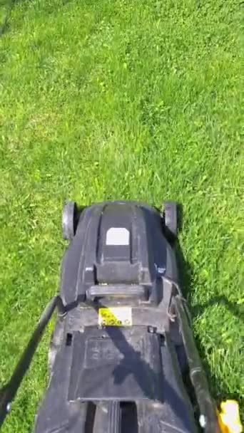 Tanie Plastikowe Elektryczne Trawnik Ruchome Zielony Trawnik Słoneczny Dzień Widok — Wideo stockowe