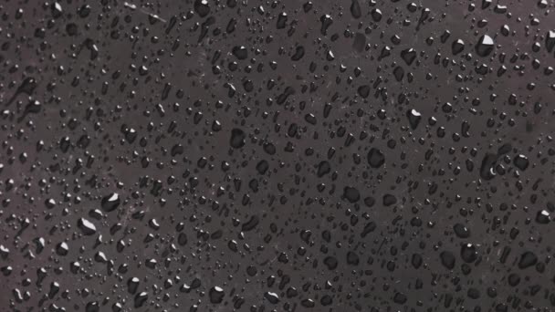 Краплі Дощу Поверхні Чорного Автомобіля Крупним Планом Повільним Рухом — стокове відео