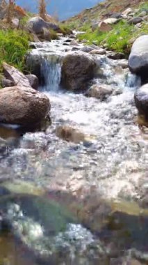 Küçük dağ deresi yaz mevsiminde yuvarlak kayaların arasındaki kameraya doğru koşuyor, seçici bir odak noktasıyla yakın çekim yapıyor.