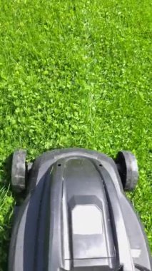 Güneşli bir günde yeşil çimenleri hareket ettiren ucuz plastik çim taşıyıcı, nakliyeci tarafından yakın çekim görüntüsü.